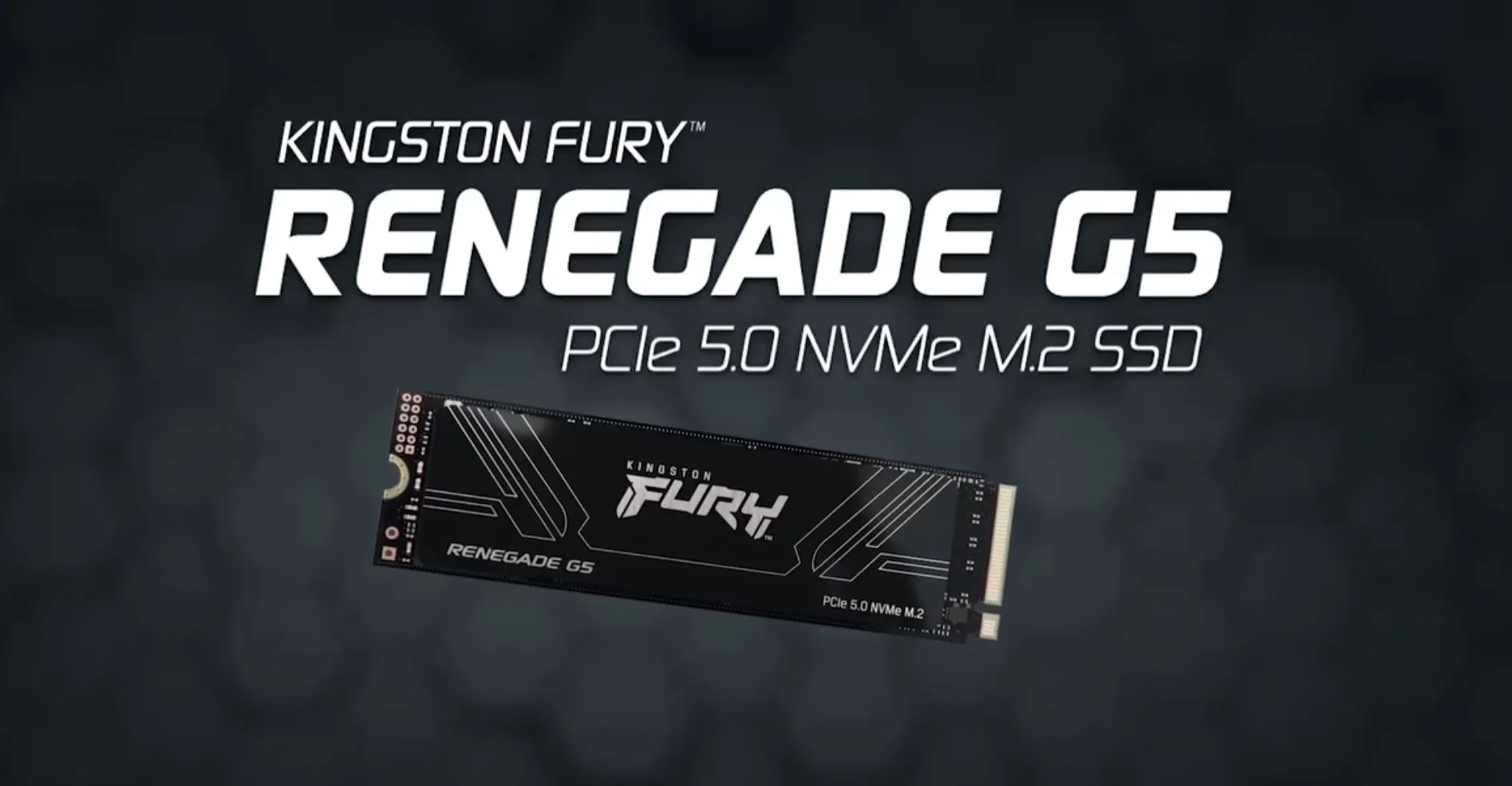 SSD RENEGADE G5