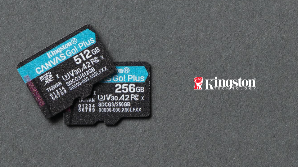 Kingston Canvas Go Plus